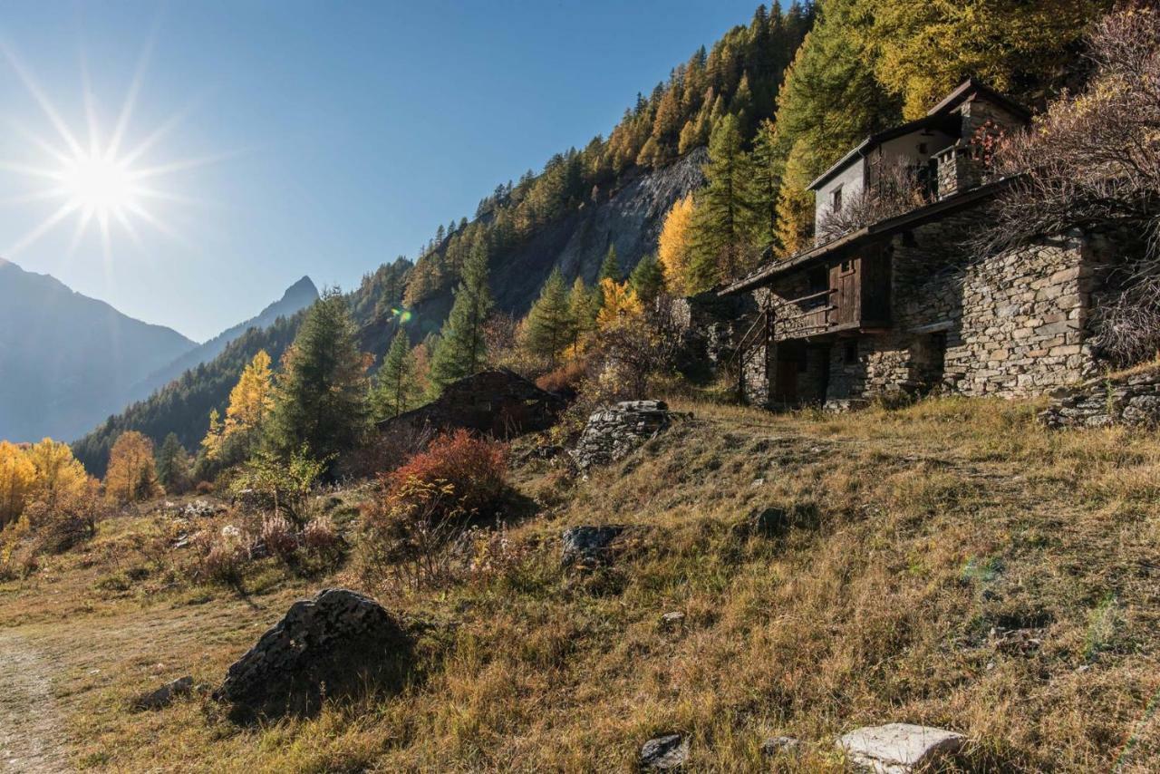 Appartement Maison I Mont Blanc